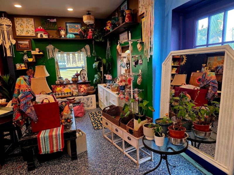 A green wall display with macrame hangings, plants, and a large mirror